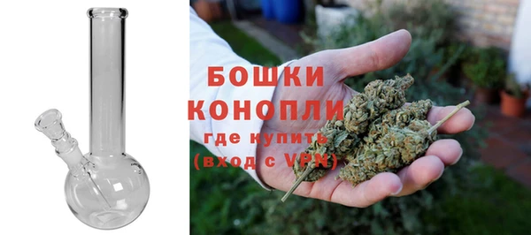 ECSTASY Пересвет
