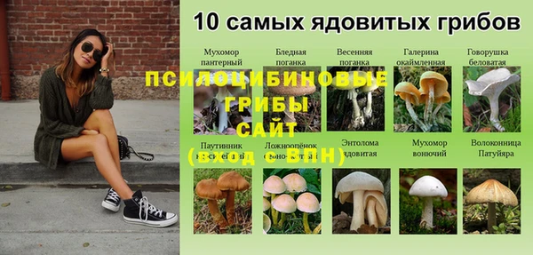 гашишное масло Алзамай
