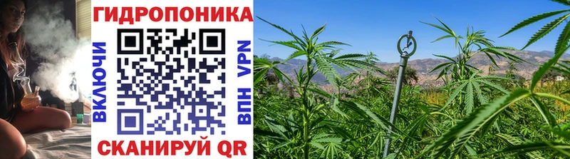 Бошки марихуана THC 21%  цена   Данилов 